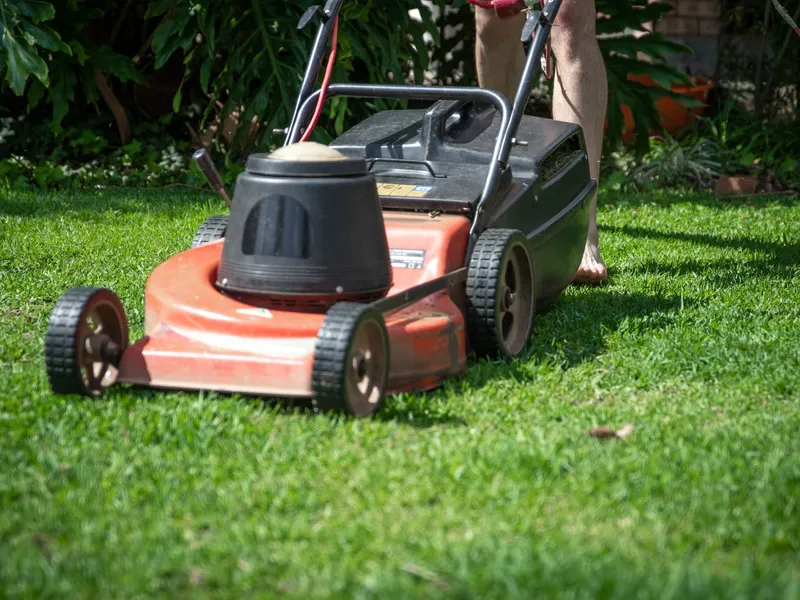 Lawn mower on green grass